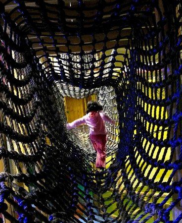 Treehouse Family Play